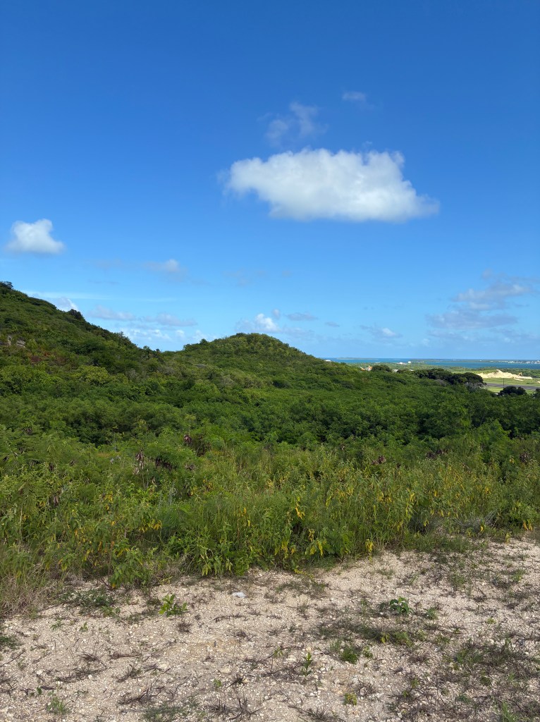 .9 Acre Lot for Sale – Powell –&nbsp;EC$850,000